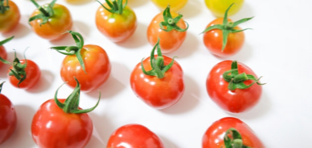 تناول الطماطم لصحة مخك… وهذا الدليل