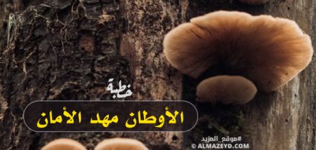 خطبة مميزة للخطباء المتميزون.. بعنوان: الأوطان مهد الأمان - مكتوبة