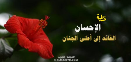 خطبة جمعة عن الإحسان.. القائد إلى أعلى الجنان