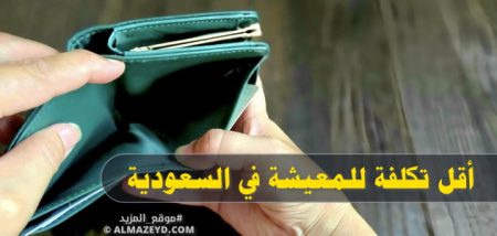 أقل تكلفة للمعيشة في السعودية: دليل شامل